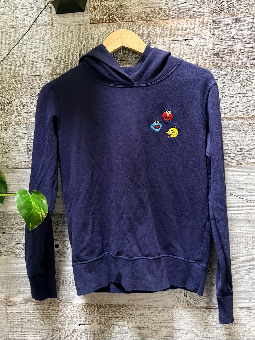 UT by Uniqlo x KAWS x Sesame Street | Characters Hoodie - Unisex XS, Navy Blue